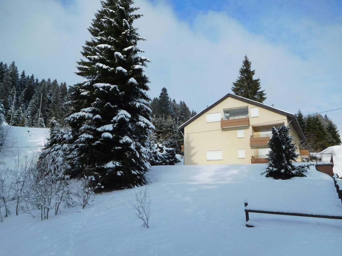 Ferienwohnung Schwarzwaldrauschen Schönwald Exterior photo